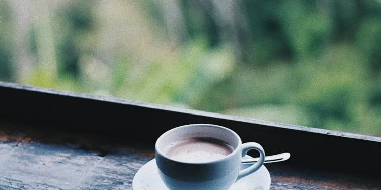 “Desmistificando as Finanças: Orientação e Suporte para o Sucesso”