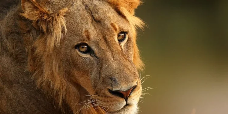 Prazo para a entrega do IR 2024 vai até 23h59 dessa sexta-feira