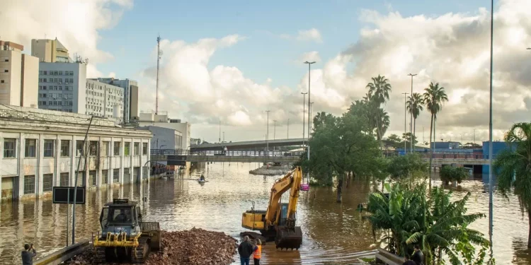 Regeneração da vegetação nas margens de rios e lagoas pode impedir inundações