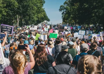“A Importância da Política na Sociedade”
