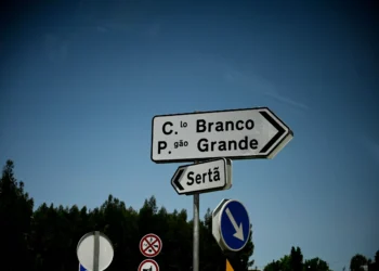 Incêndios. Dezoito Jovens migrantes vigiam a floresta de Castelo Branco