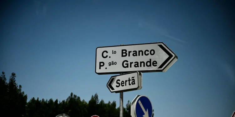 Incêndios. Dezoito Jovens migrantes vigiam a floresta de Castelo Branco