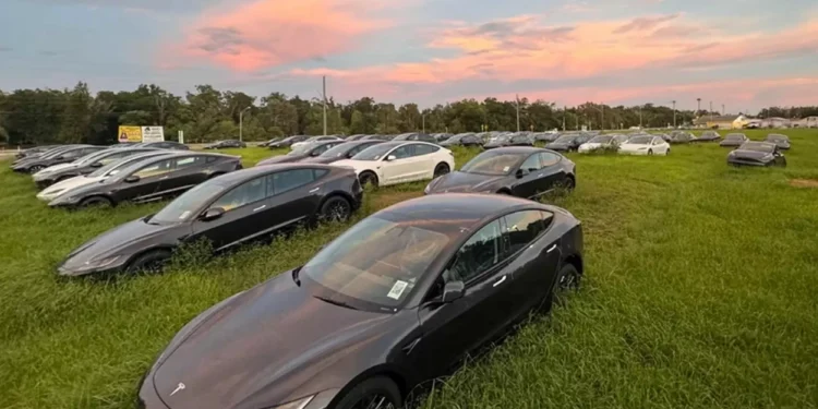 Teslas novos são encontrados abandonados nos EUA; saiba motivo