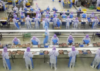 Cade determina que Minerva venda fábrica após compra de plantas da Marfrig