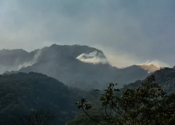 Parques estaduais do Rio de Janeiro reabrem para visitação
