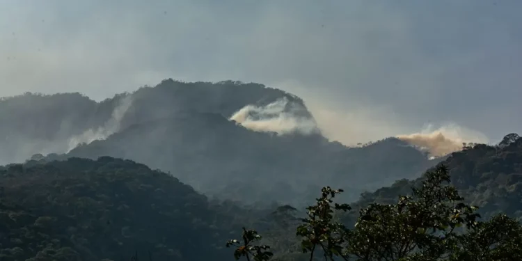 Parques estaduais do Rio de Janeiro reabrem para visitação