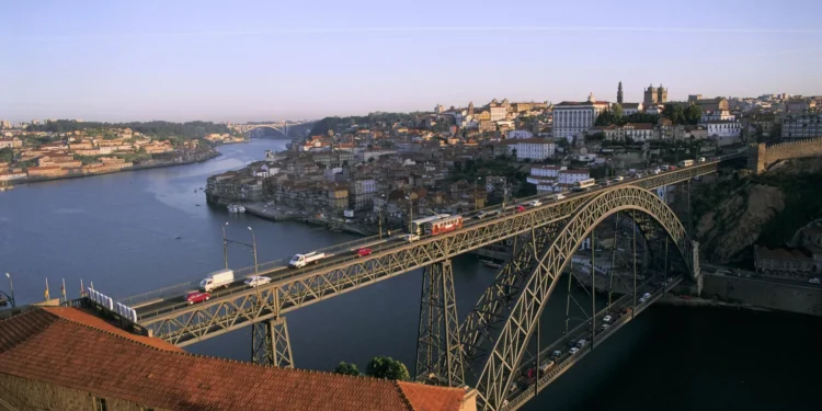Performance ‘Micélio’ em cena dia 14 no Auditório Municipal de Gaia