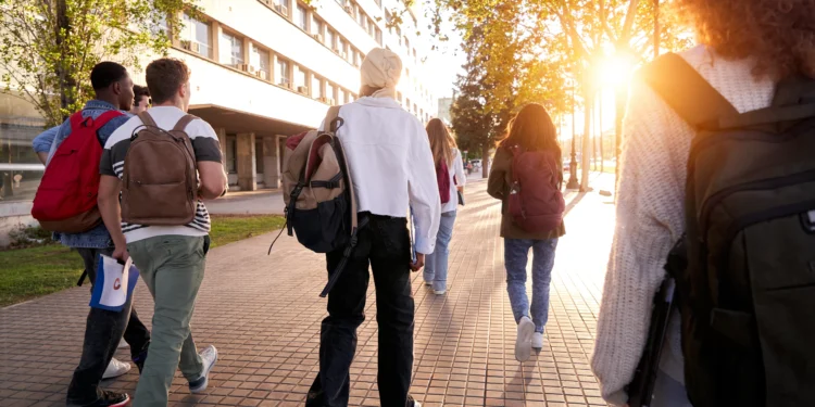 Chefes? Não, obrigado! O curioso caso da Geração Z e a aversão ao poder