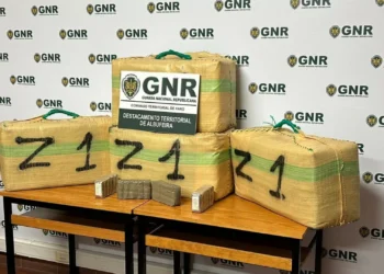 Abandona carro com mais de 135 quilos de haxixe após fugir da GNR