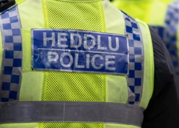 Enterrou telemóvel na campa do gato para esconder crimes do filho