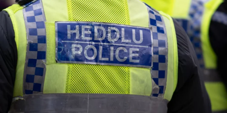 Enterrou telemóvel na campa do gato para esconder crimes do filho