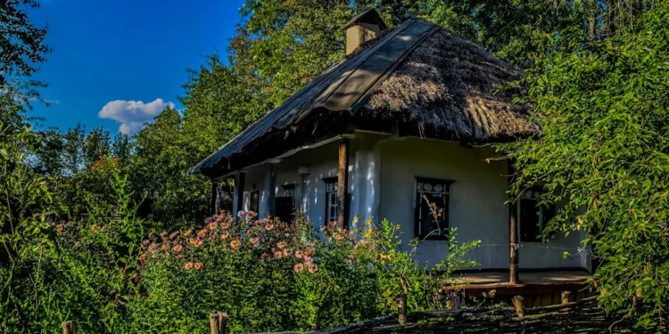 “A Importância da Economia para o Desenvolvimento Social”