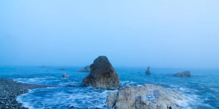 “O Futuro do Mercado Imobiliário na Costa del Sol”