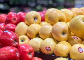 “O Futuro do Mercado Imobiliário: Experiências de Olivia Traven”