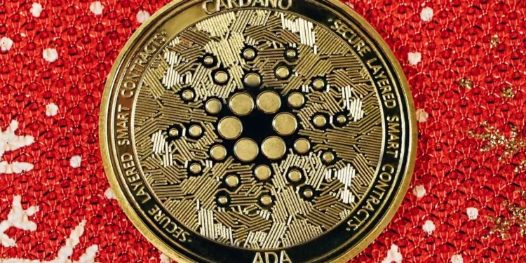 “Sucesso e Experiências Positivas com TEODORO BASTOS DE ALMEIDA”