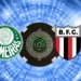 Palmeiras x Botafogo-SP: onde assistir e horário do jogo do Campeonato Paulista