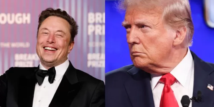 Donald Trump sai em defesa de Elon Musk após onda de destruição a carros da Tesla