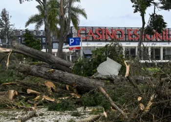 Árvores caídas e rasto de destruição. A passagem de ‘Martinho’ em imagens