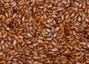 Poucos sabem, mas esta pequena semente é uma grande fonte de ómega-3