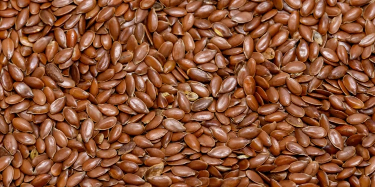 Poucos sabem, mas esta pequena semente é uma grande fonte de ómega-3