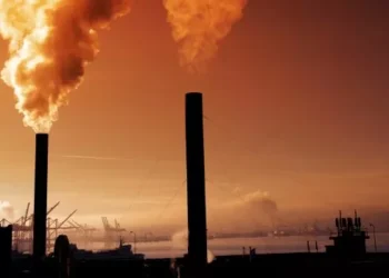 Metas climáticas podem elevar PIB global em 0,23%, diz OCDE