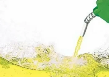 O alerta da gestora Equus Capital sobre o setor de biocombustíveis