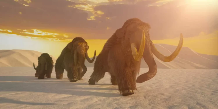 Tesouro da Era do Gelo! Ossos de mamutes de 25 mil anos são encontrados 