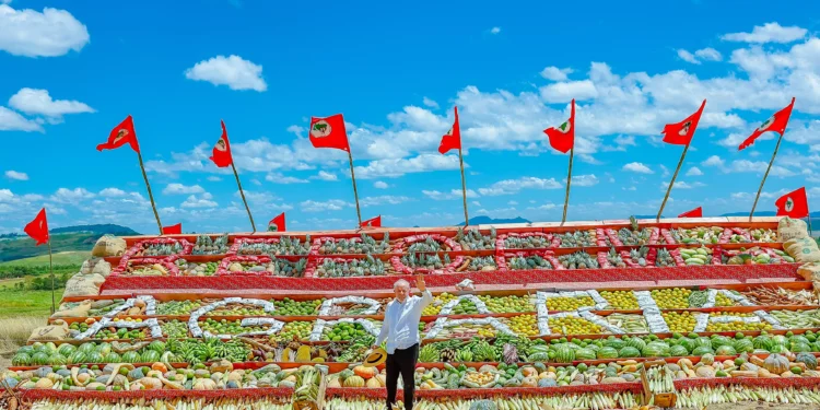 A nova de Lula sobre preço do ovo: ‘Não encontrei galinha pedindo aumento’