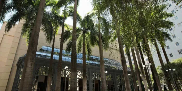 Família denuncia shopping de SP por racismo contra dois adolescentes negros