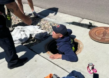 Tartarugas ninja? Três crianças e dois cães resgatados em esgoto dos EUA