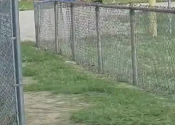 Viatura embate contra creche nos EUA e mata 3 crianças. “Não deliberado”