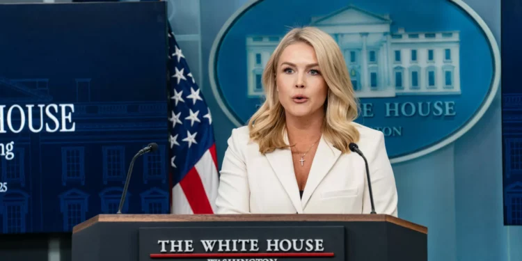 Tensão entre Navarro e Musk (que insulta)? “Rapazes serão sempre rapazes”