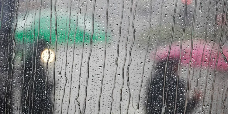 Frente fria: cinco capitais podem registrar recorde de frio no fim de semana