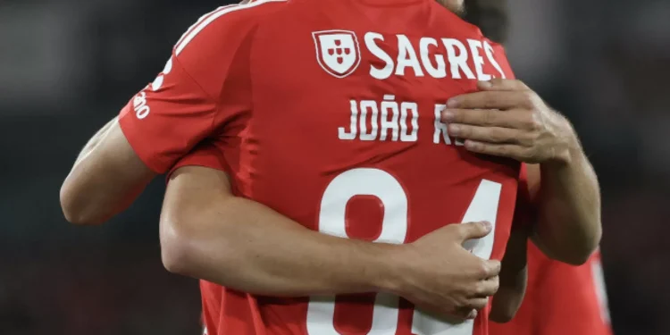 João Rêgo: “Aprendo com grandes jogadores”