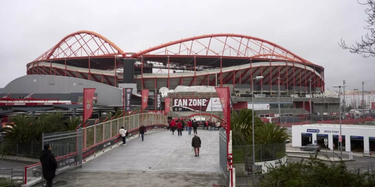 Martim Mayer avança com candidatura à presidência do Benfica