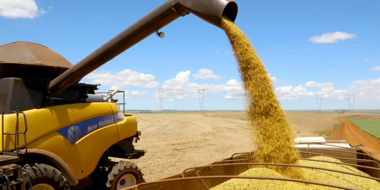 Soja, milho e arroz impulsionam nova safra recorde no agronegócio brasileiro