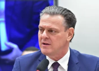 ‘Não há risco de contaminação de gripe aviária pelo consumo de aves e ovos’, diz Carlos Fávaro