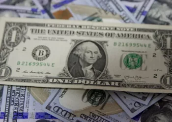 Dólar tem alta moderada com exterior em dia de ajustes e realização de lucros