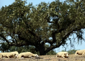 Abril passado foi o segundo mais quente do mundo