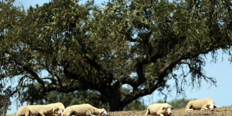 Abril passado foi o segundo mais quente do mundo