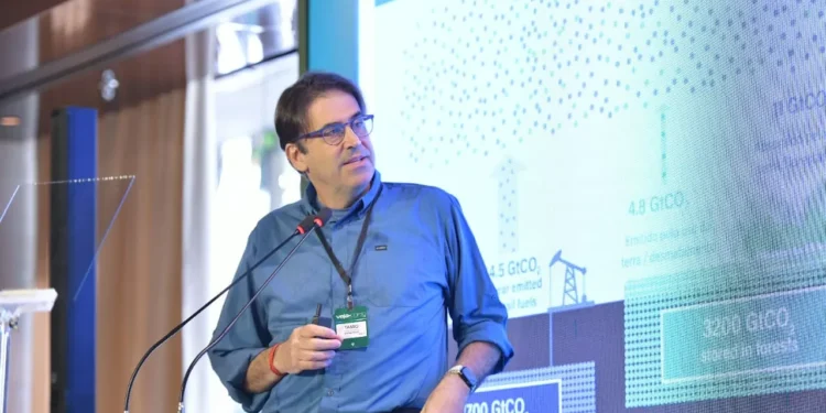 MapBiomas vê avanço no desmatamento, mas alerta para retrocessos