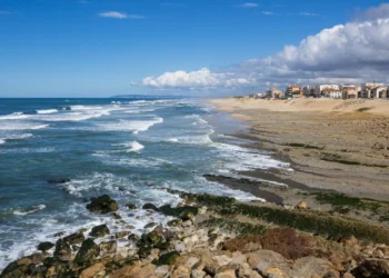 “Triste”. Escola disponibiliza “apoio” após desaparecimento de irmãos