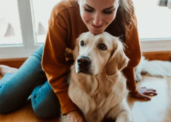 Cães e seus donos tendem a se parecer até na personalidade, mostra estudo