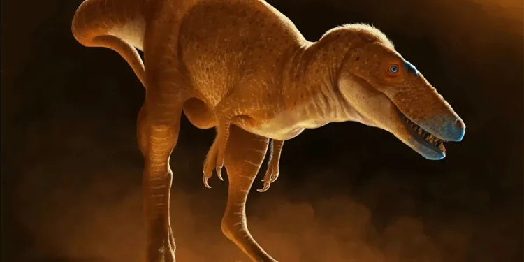 Dinossauro recém-descoberto muda tudo o que se sabe sobre a evolução do tiranossauro