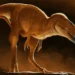 Dinossauro recém-descoberto muda tudo o que se sabe sobre a evolução do tiranossauro