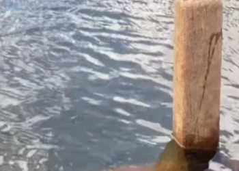 Cemitério submerso no Brasil aparece após 30 anos. Ora veja