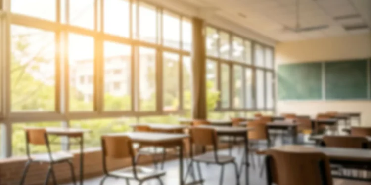 Há menos alunos carenciados no ensino obrigatório com acesso a bolsa