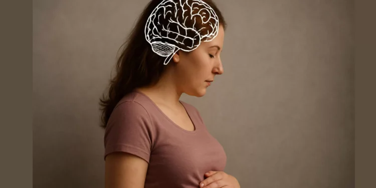 O que acontece no cérebro durante a gravidez?