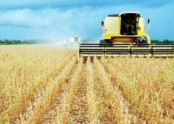 CNI mostra impacto do tarifaço para Centro-Oeste, Norte e Nordeste