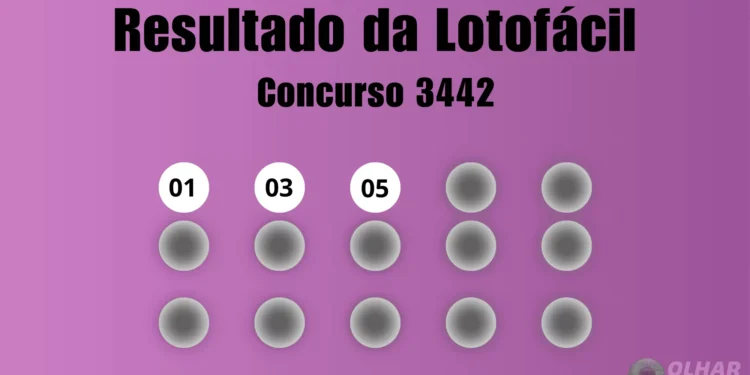 Lotofácil 3442: veja resultado de hoje, segunda-feira (14)